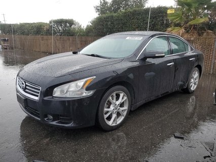 MAXIMA 