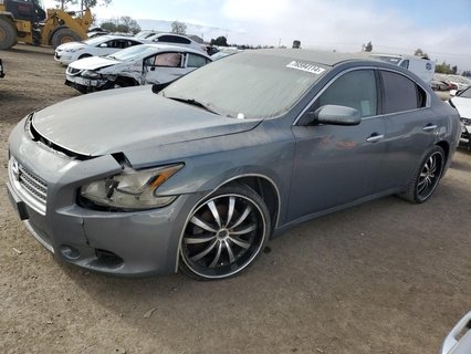 MAXIMA 