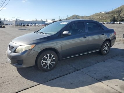 COROLLA 