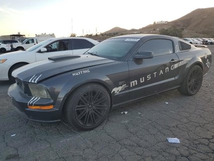 MUSTANG 
