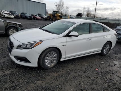 SONATA 