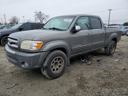 TUNDRA 