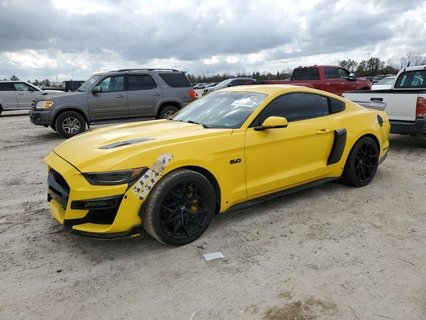 MUSTANG 