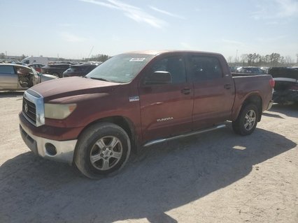 TUNDRA 