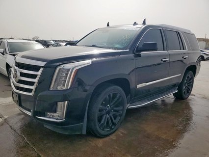 ESCALADE 