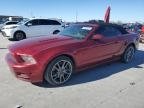MUSTANG 