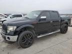 FORD F-150 , 2013