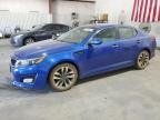 OPTIMA 