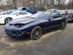 FIREBIRD 