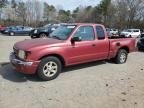 TOYOTA TACOMA , 2000