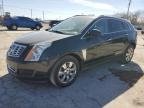SRX 