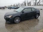 SCION 