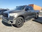 TUNDRA 