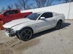 MUSTANG 