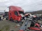 FREIGHTLINER ALL OTHER , 2025