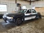 CROWN VIC 