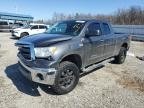 TUNDRA 