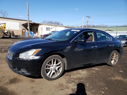 MAXIMA 