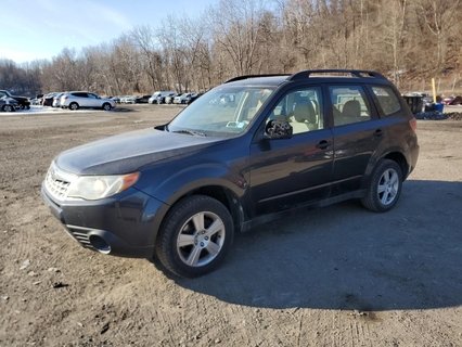 FORESTER 