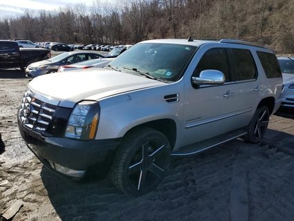 ESCALADE 