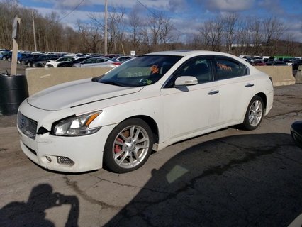 MAXIMA 