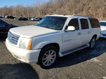 ESCALADE 