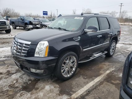 ESCALADE 
