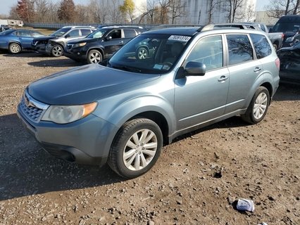 FORESTER 