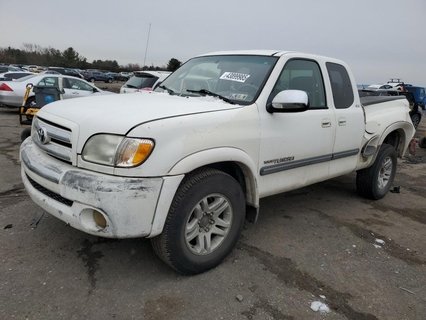 TUNDRA 