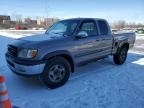 TUNDRA 