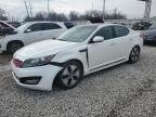 OPTIMA 