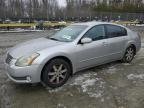 NISSAN MAXIMA , 2005
