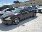 MAXIMA 