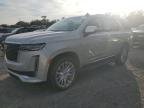 ESCALADE 