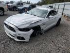 MUSTANG 