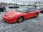 FIREBIRD 