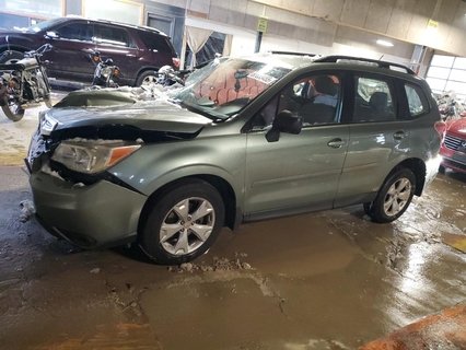 FORESTER 
