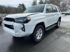 TOYOTA 4RUNNER , 2024