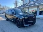 ESCALADE 