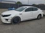 OPTIMA 