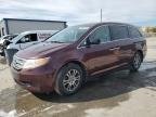 HONDA All Models , 2013