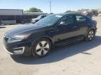 OPTIMA 