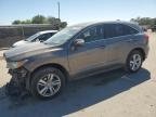 Rdx 