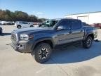 TOYOTA TACOMA , 2023