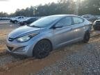 ELANTRA 