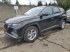 HYUNDAI TUCSON , 2024