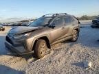 TOYOTA RAV4 , 2024