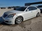 EQUUS 