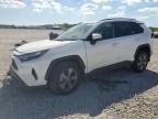 TOYOTA RAV4 , 2024