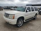 ESCALADE 